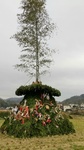 1579410247452-360x640.jpg