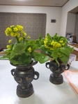 IMG20220328204356.jpg