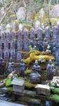 KIMG1756.JPG