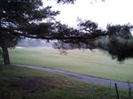 mini_120516_0538.jpg