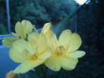 mini_120731_0541.jpg