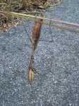 mini_121025_06350002.jpg