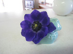 resize0025.jpg