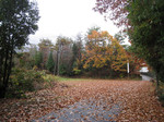 resize0468.jpg