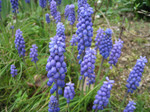 resize0570.jpg