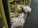 resize0573.jpg