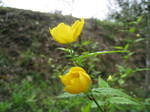 resize0574.jpg