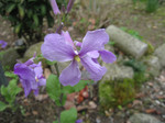 resize0575.jpg