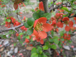 resize0576.jpg