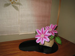 resize0609.jpg