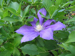 resize0610.jpg