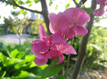 resize0612.jpg