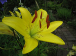 resize0660.jpg