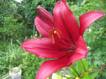 resize0661.jpg