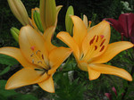 resize0662.jpg