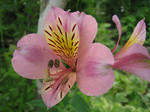 resize0684.jpg