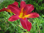 resize0685.jpg