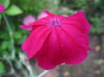 resize0686.jpg