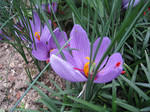 resize0831.jpg