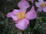 resize0832.jpg