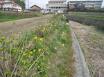 resize1067.jpg