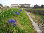 resize1068.jpg
