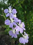 resize1121.jpg