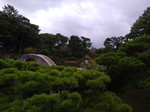 resize1987.jpg