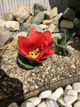 resize2196.jpg