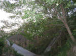 resize2849.jpg