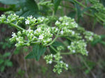 resize3118.jpg