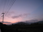 resize3124.jpg