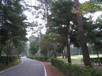 resize3125.jpg