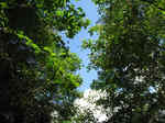 resize3138.jpg