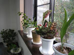 resize3248.jpg