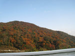 resize3268.jpg