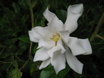 resize4169.jpg