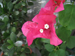 resize4239.jpg