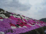 resize4681.jpg