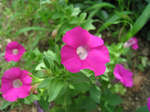 resize4892.jpg