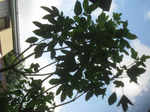 resize4900.jpg