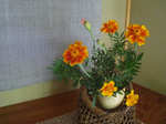resize4902.jpg