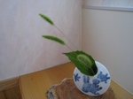 resize4903.jpg
