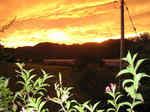resize4963.jpg